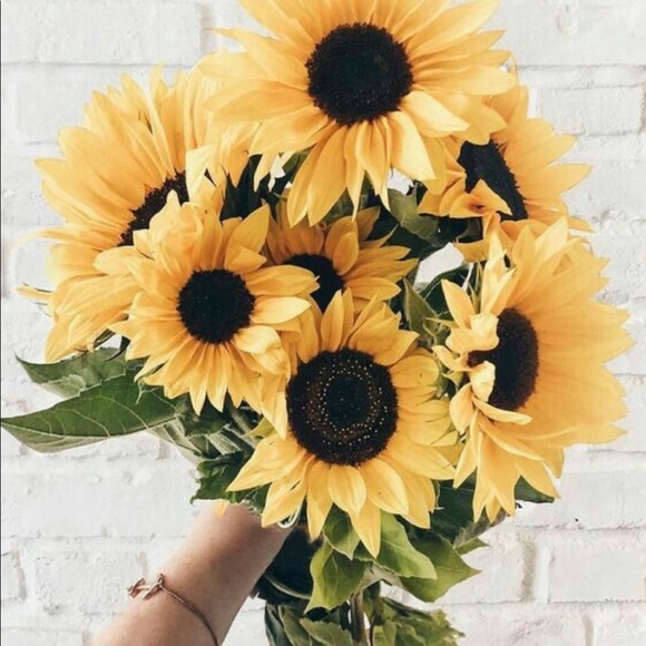 Find your tribe 💕 and let the others go 💕 - Picture 2 of 6